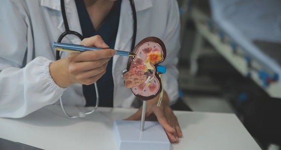 Advanced urosurgery laser treatment for kidney stones and prostate enlargement in hospital