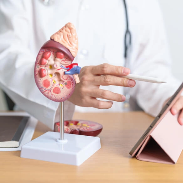 Nephrology Department at Vakratunda Hospital Nashik